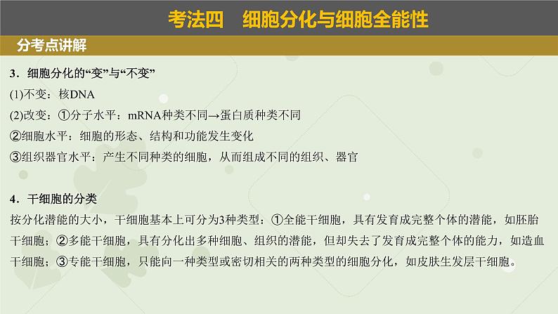 2023届高三生物一轮专题复习课件：细胞的分化、衰老和死亡第5页