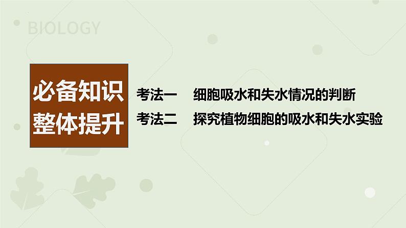 2023届高三生物一轮专题复习课件：细胞的吸水和失水第2页