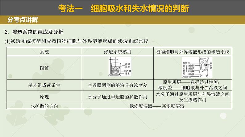 2023届高三生物一轮专题复习课件：细胞的吸水和失水第6页