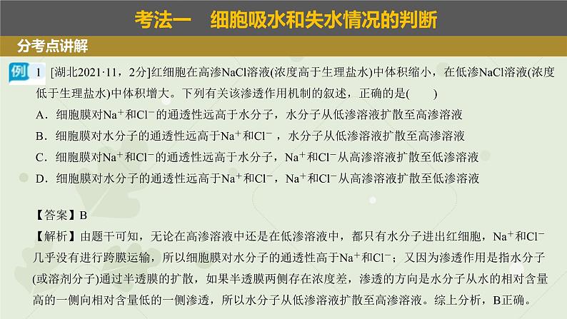 2023届高三生物一轮专题复习课件：细胞的吸水和失水第8页