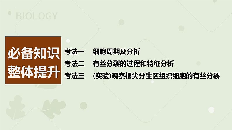 2023届高三生物一轮专题复习课件：细胞的有丝分裂第2页