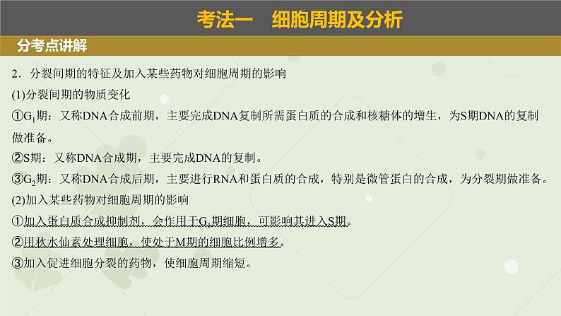 2023届高三生物一轮专题复习课件：细胞的有丝分裂第4页