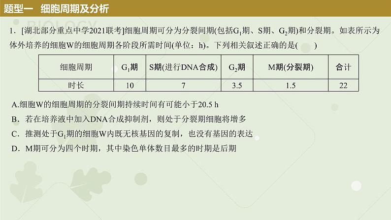 2023届高三生物一轮专题复习课件：细胞的有丝分裂第8页