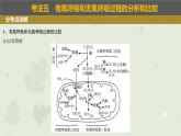 2023届高三生物一轮专题复习课件：细胞呼吸的类型和过程