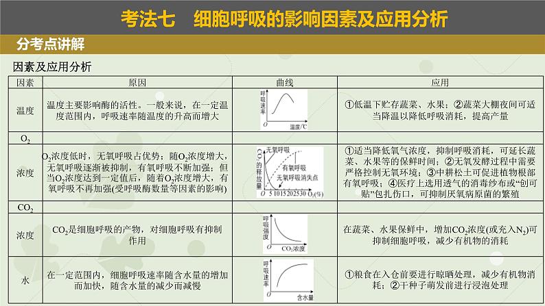 2023届高三生物一轮专题复习课件：细胞呼吸的影响因素及应用03