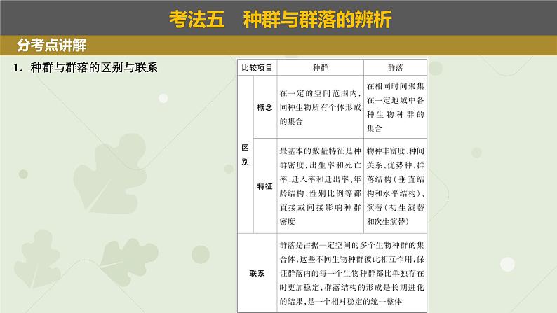 2023届高三生物一轮复习课件：群落的结构特征和演替第3页