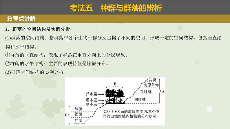 2023届高三生物一轮复习课件：群落的结构特征和演替第4页