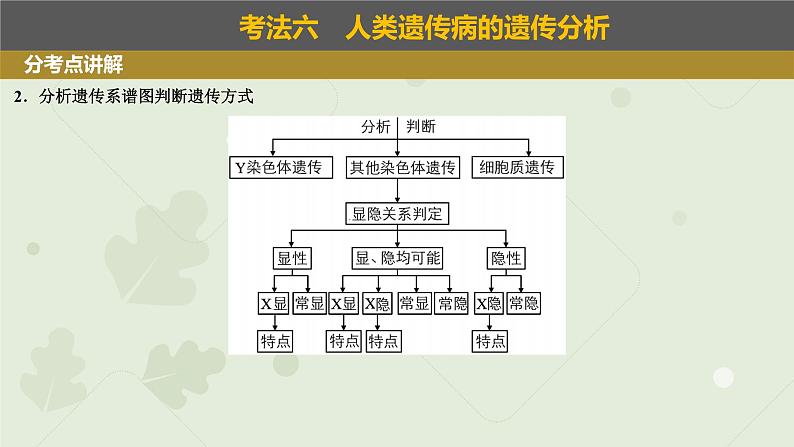 2023届高三生物一轮复习课件：人类遗传病第4页