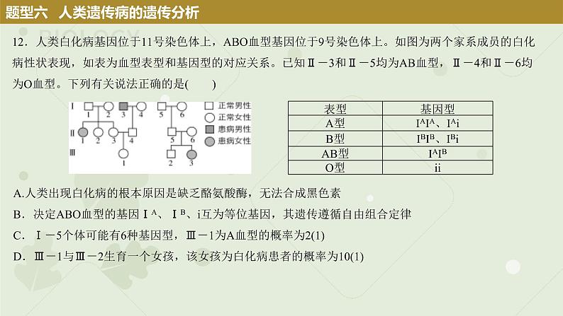 2023届高三生物一轮复习课件：人类遗传病第8页