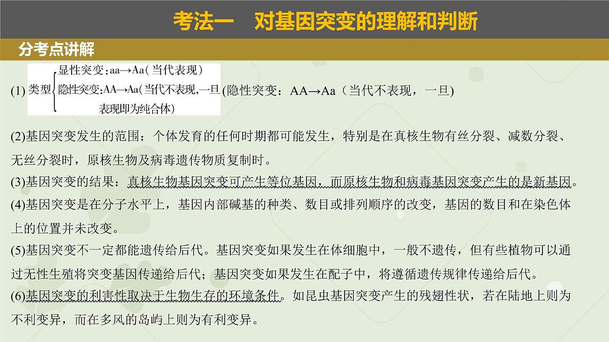 2023届高三生物一轮复习课件：生物的变异第3页