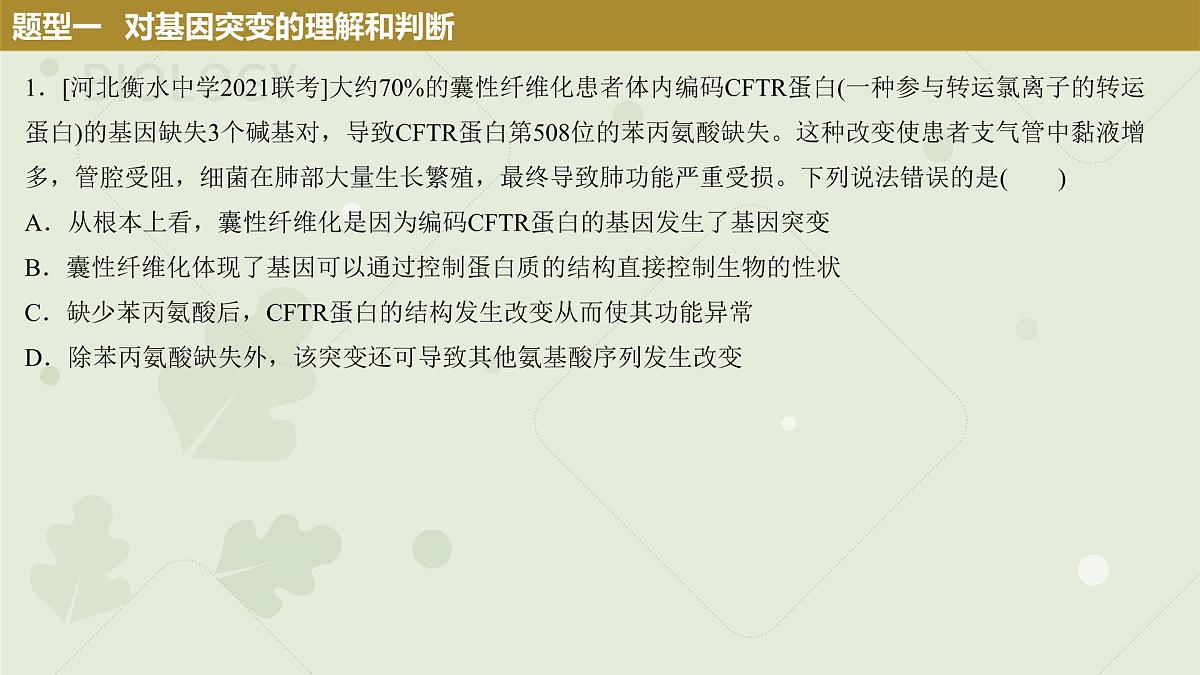 2023届高三生物一轮复习课件：生物的变异第6页