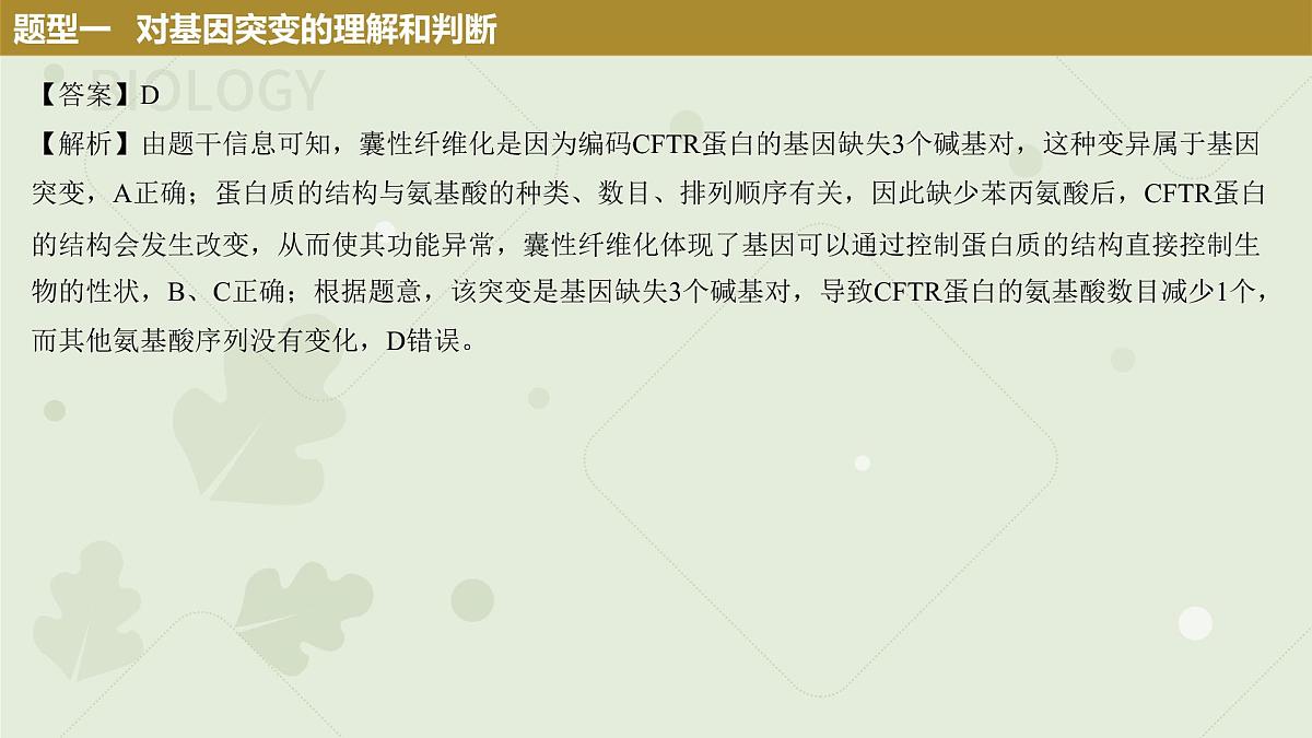 2023届高三生物一轮复习课件：生物的变异第7页