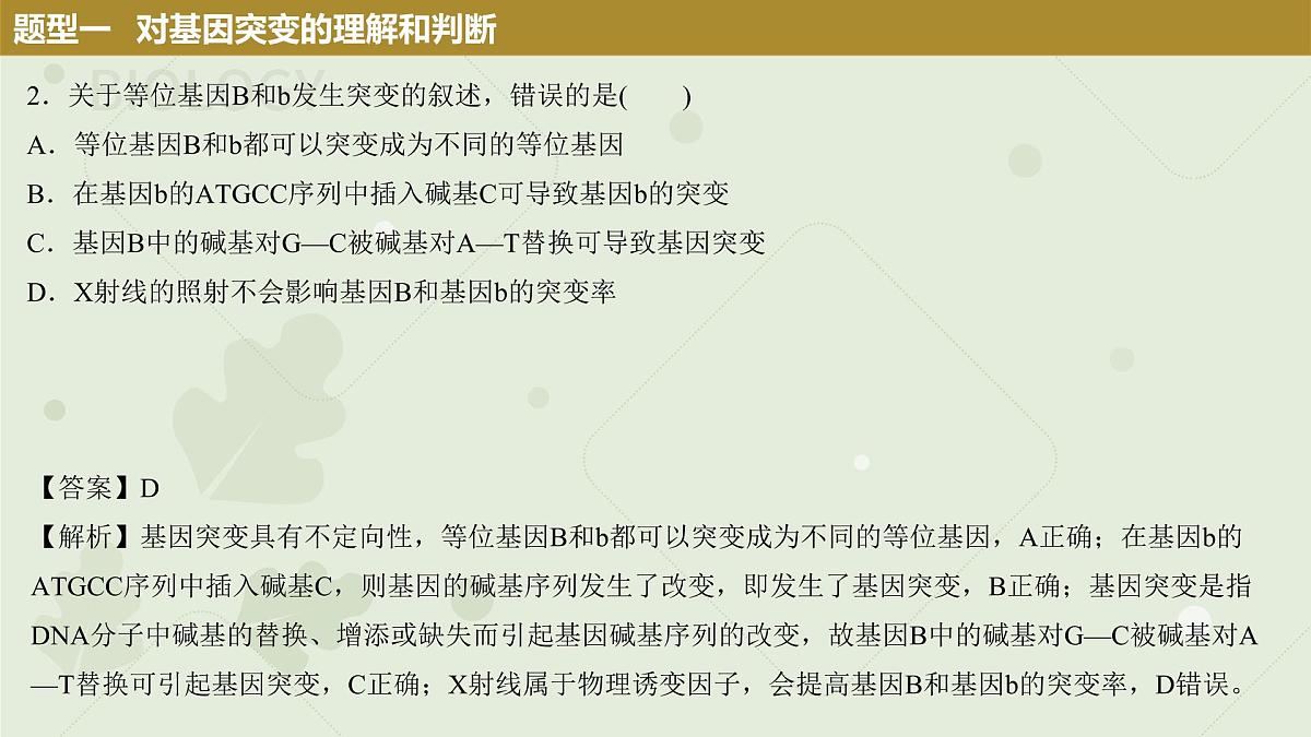 2023届高三生物一轮复习课件：生物的变异第8页