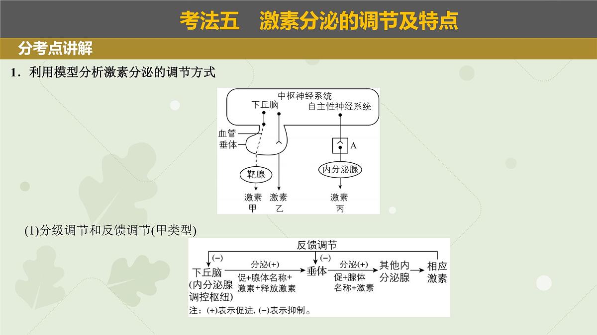 2023届高三生物一轮复习课件：体液调节第3页