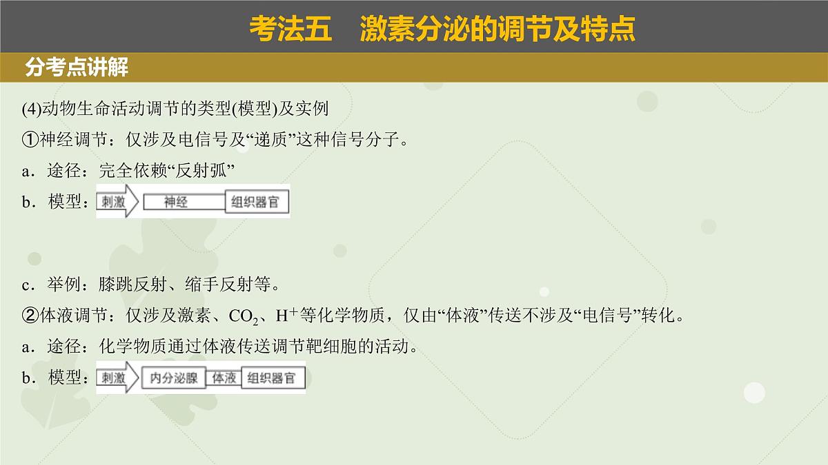 2023届高三生物一轮复习课件：体液调节第6页