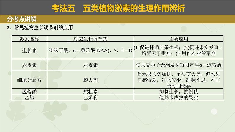 2023届高三生物一轮复习课件：植物生长调节剂的应用及环境因素对植物生命活动的调节04