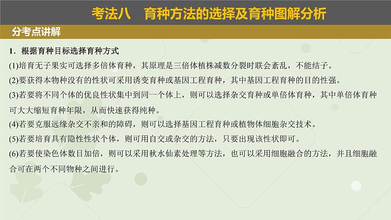 2023届高三生物一轮复习课件：变异在育种上的应用第3页