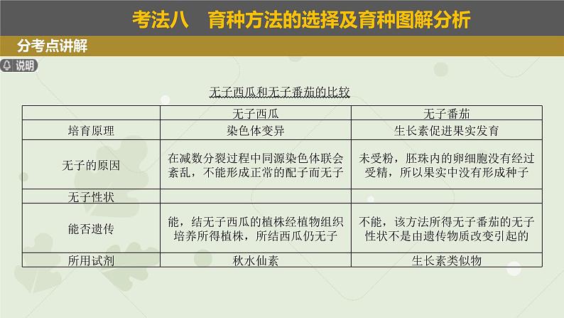 2023届高三生物一轮复习课件：变异在育种上的应用第5页