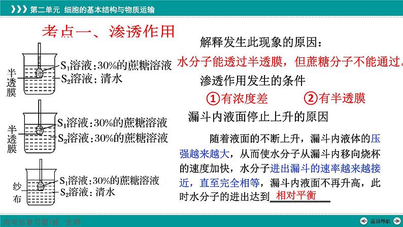 2023届高三生物一轮复习课件：第6讲  细胞的物质输入和输出第3页