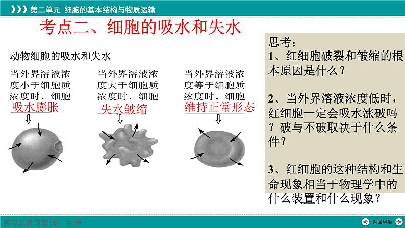 2023届高三生物一轮复习课件：第6讲  细胞的物质输入和输出第5页