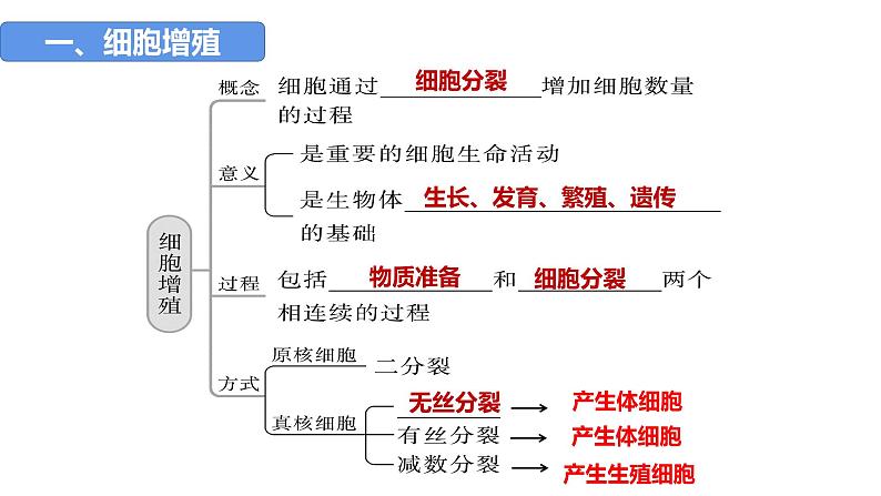 2023届高三生物一轮复习课件：第四单元 第1、2课时 细胞增殖第4页