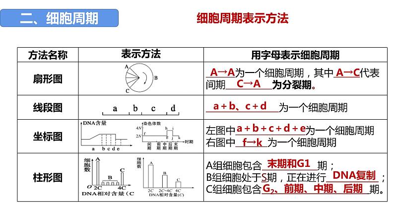 2023届高三生物一轮复习课件：第四单元 第1、2课时 细胞增殖第8页