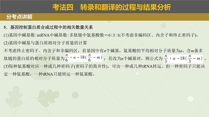 2023届高三生物一轮复习课件：基因的表达第6页