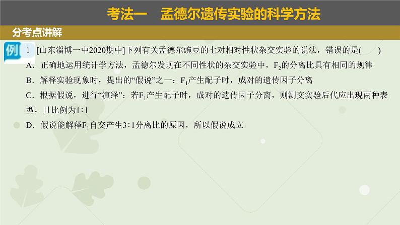 2023届高三生物一轮复习课件：基因的分离定律第3页