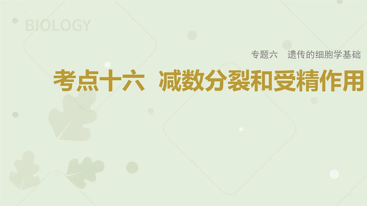 2023届高三生物一轮复习课件：减数分裂和受精作用第1页