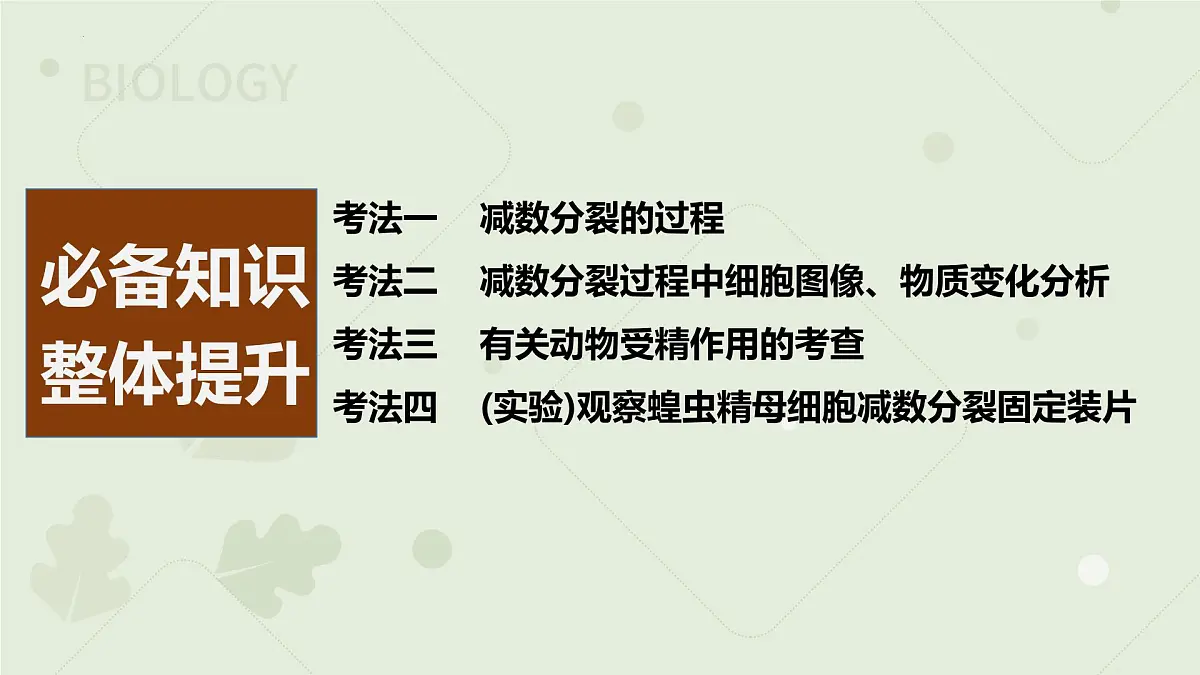 2023届高三生物一轮复习课件：减数分裂和受精作用第2页