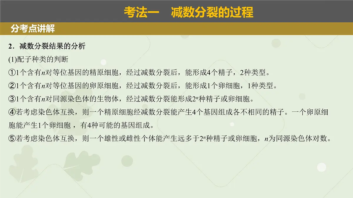 2023届高三生物一轮复习课件：减数分裂和受精作用第5页