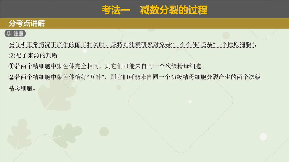 2023届高三生物一轮复习课件：减数分裂和受精作用第6页