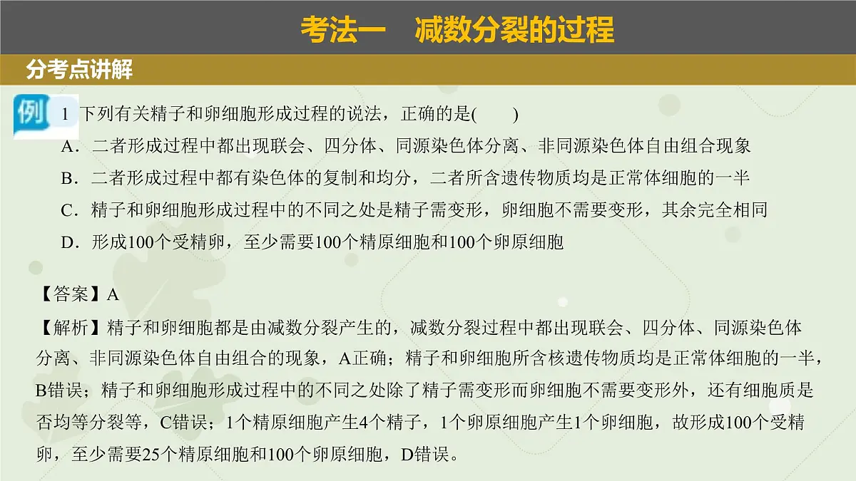 2023届高三生物一轮复习课件：减数分裂和受精作用第7页