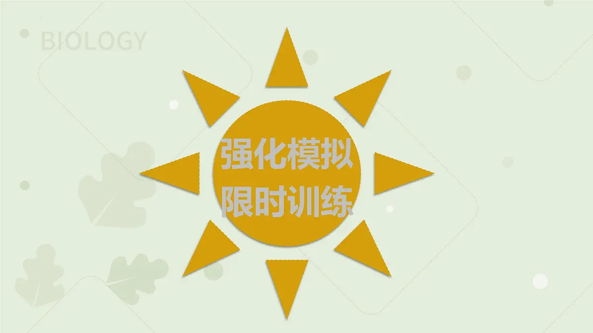 2023届高三生物一轮复习课件：减数分裂和受精作用第8页