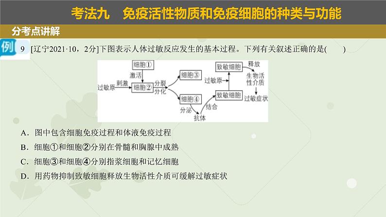 2023届高三生物一轮复习课件：免疫调节06