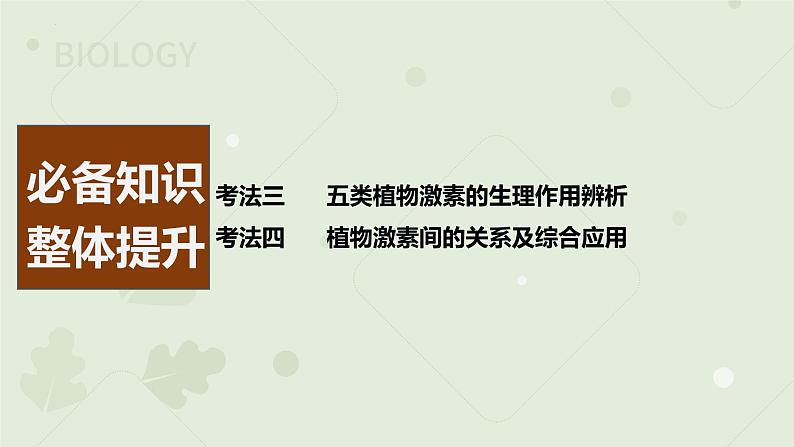 2023届高三生物一轮复习课件：其他植物激素及应用第2页