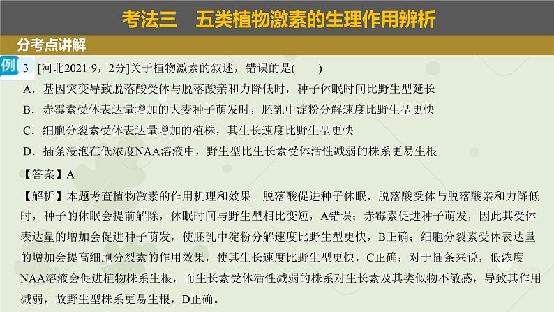 2023届高三生物一轮复习课件：其他植物激素及应用第5页