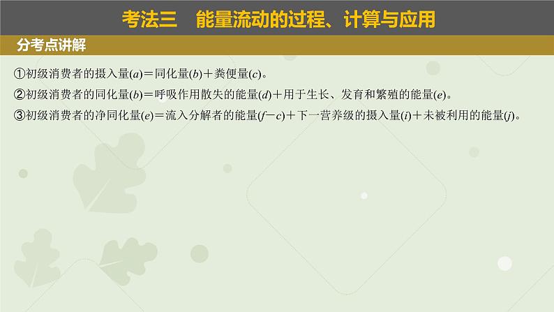 2023届高考生物一轮专题复习课件：生态系统的功能第3页