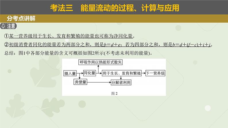 2023届高考生物一轮专题复习课件：生态系统的功能第4页