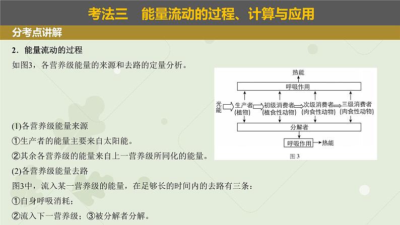 2023届高考生物一轮专题复习课件：生态系统的功能第5页