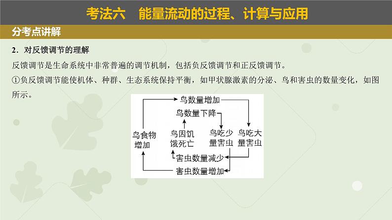 2023届高考生物一轮专题复习课件：生态系统的稳定性和生态环境保护05