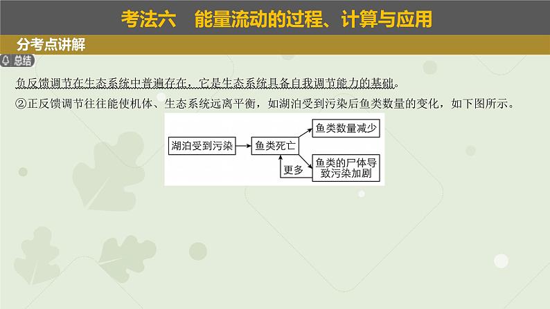 2023届高考生物一轮专题复习课件：生态系统的稳定性和生态环境保护06