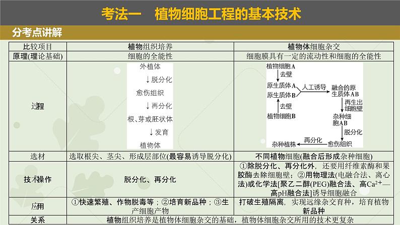 2023届高考生物一轮专题复习课件：植物细胞工程第3页