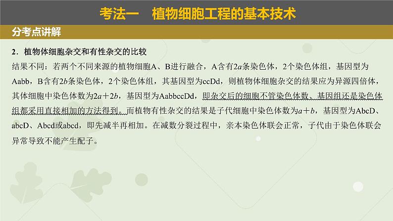 2023届高考生物一轮专题复习课件：植物细胞工程第4页