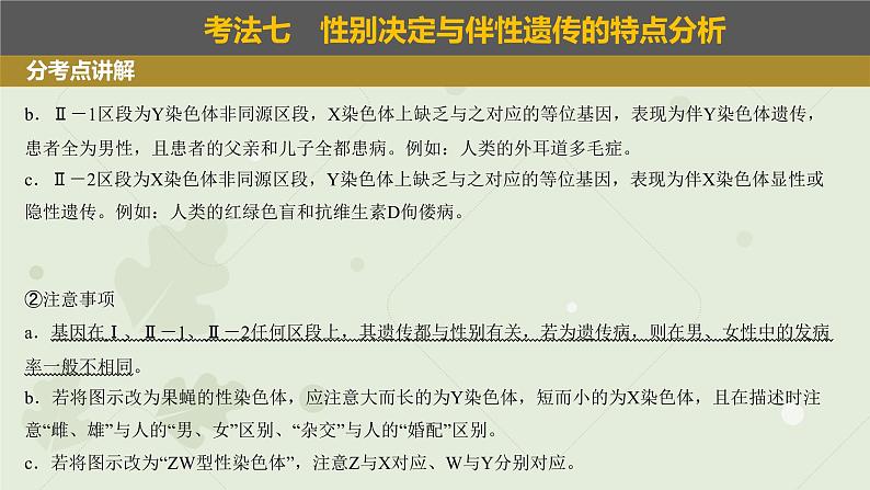 2023届高三生物一轮复习课件：伴性遗传第6页