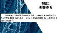 2022届高三生物二轮复习课件：细胞呼吸与光合作用