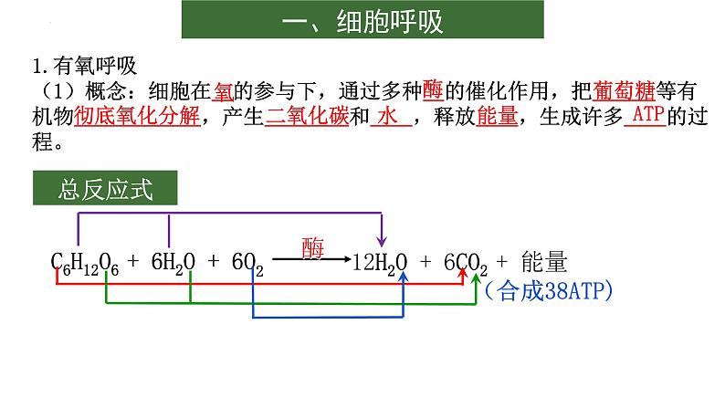 2022届高三生物二轮复习课件：细胞呼吸与光合作用第2页