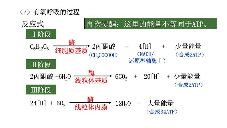 2022届高三生物二轮复习课件：细胞呼吸与光合作用第3页