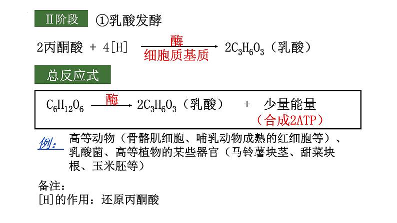 2022届高三生物二轮复习课件：细胞呼吸与光合作用第6页