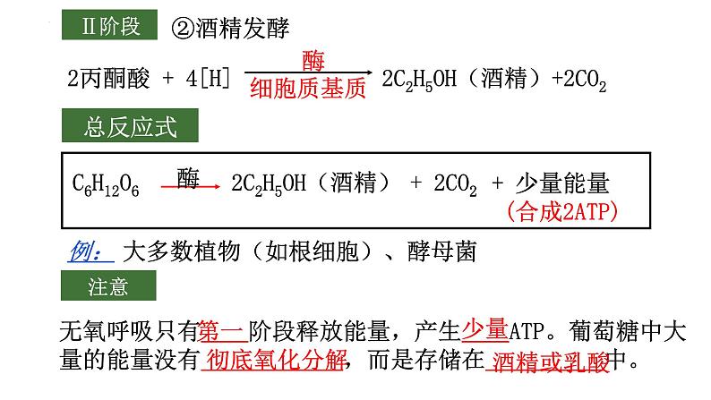 2022届高三生物二轮复习课件：细胞呼吸与光合作用第7页